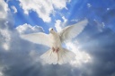 Girard, Liliane