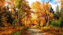 Larocque, Yvon